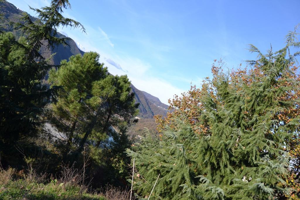 Albiano Magra Toscana Nord Ovest - Tra La Costa Apartments מראה חיצוני תמונה